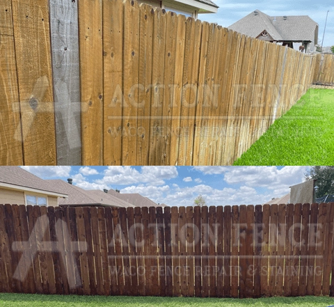 Before-and-after staining a treated pine fence